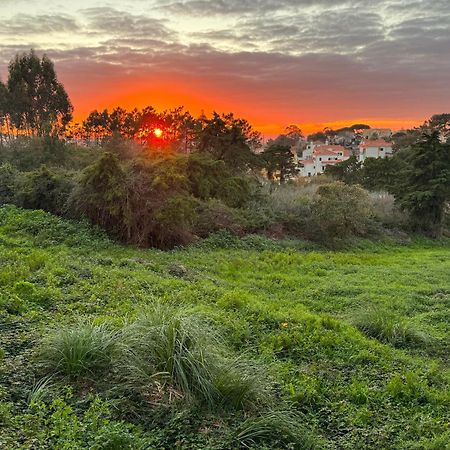 Boutique Hotel - O House Ericeira Hills ภายนอก รูปภาพ